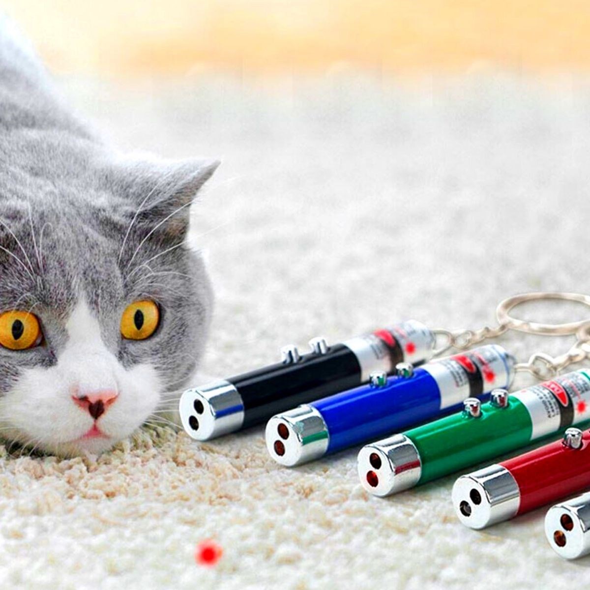 3 Fonksiyonlu Kırmızı Beyaz Işıklı Led Lazer Kedi Köpek Oyuncak Anahtarlık (4620)