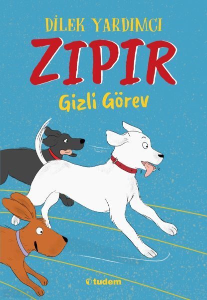 Zıpır Gizli Görev  (4022)