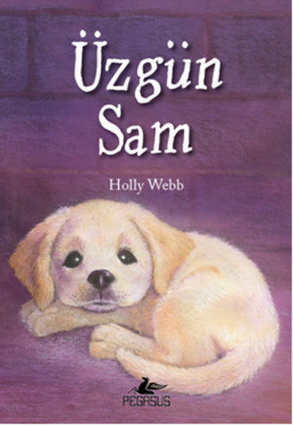 Üzgün Sam  (4022)