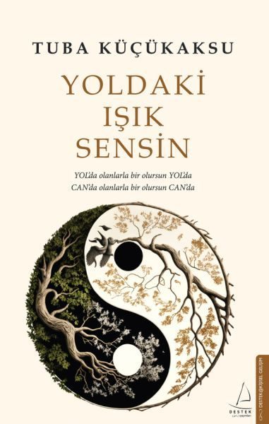 Yoldaki Işık Sensin  (4022)