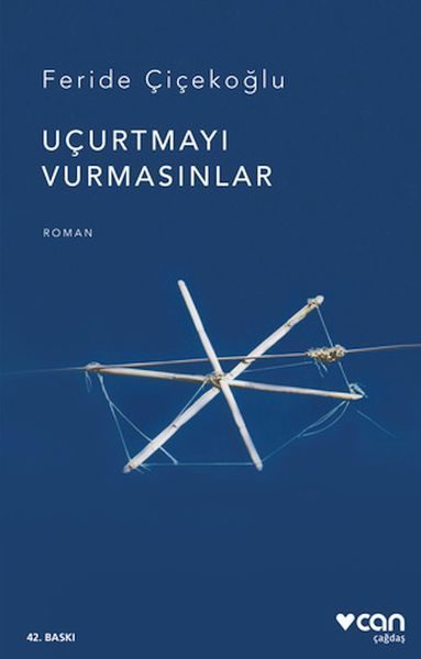 Uçurtmayı Vurmasınlar  (4022)