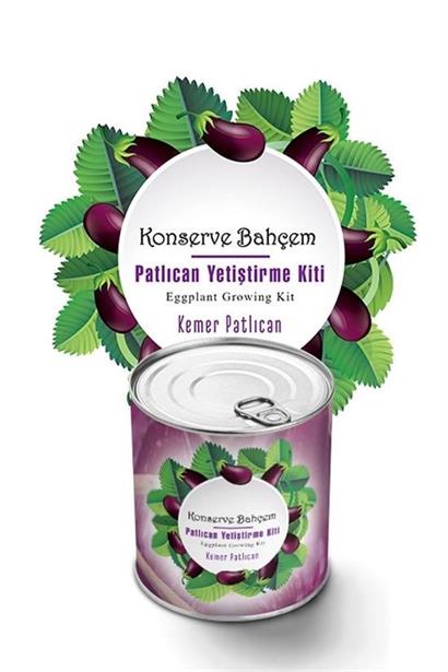 BUFFER® Konserve Bahçem Evde Konservede  Kemer PatlıcanYetiştirme Kiti