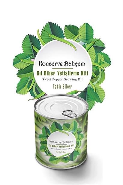 BUFFER® Konserve Bahçem Evde Konservede Tatlı Sivri Biber Yetiştirme Kiti