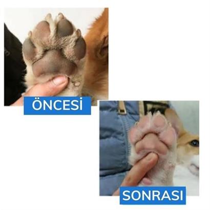 BUFFER® Silikon Jel Fırçalı Kedi Köpek Pati Ayak Temizleme Kovası Büyük