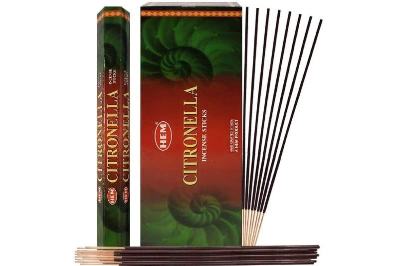 Citronella Tall Hexa