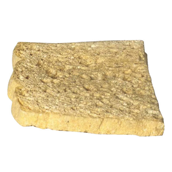 Havya süngeri  7x4 cm
