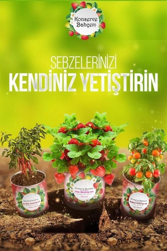 Konserve Bahçem Evde Konservede Dereotu Yetiştirme Kiti Aparatı