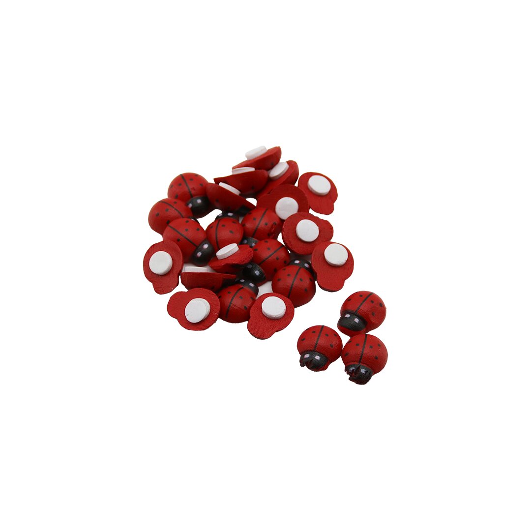 Mi̇ni̇  Ahşap Uğur Böcek  Yapişkanli   24pcs ± 2ad