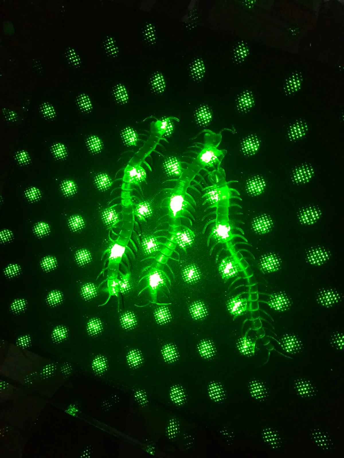 Şaka Yılan Ve Kırkayak Karışık 36 Adet